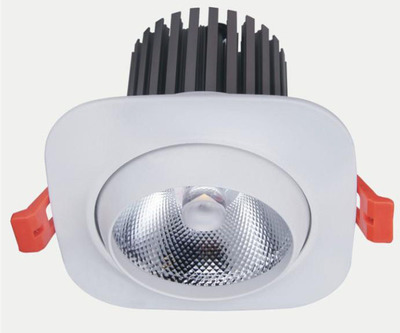 BRL-11050-15W圖片|BRL-11050-15W產(chǎn)品圖片由中山利升.碧昂仕照明公司生產(chǎn)提供-