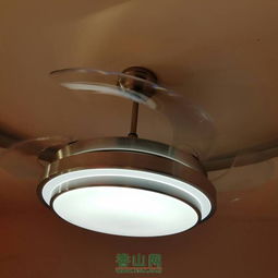 歐普照明團購活動 11月13日參與指南